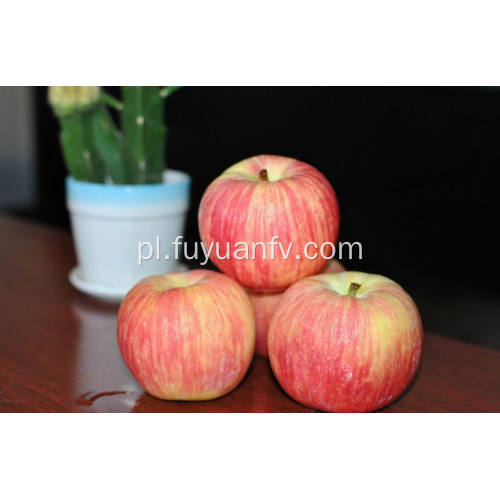 New Crop Fresh Cheap Fuji apple (64-198)